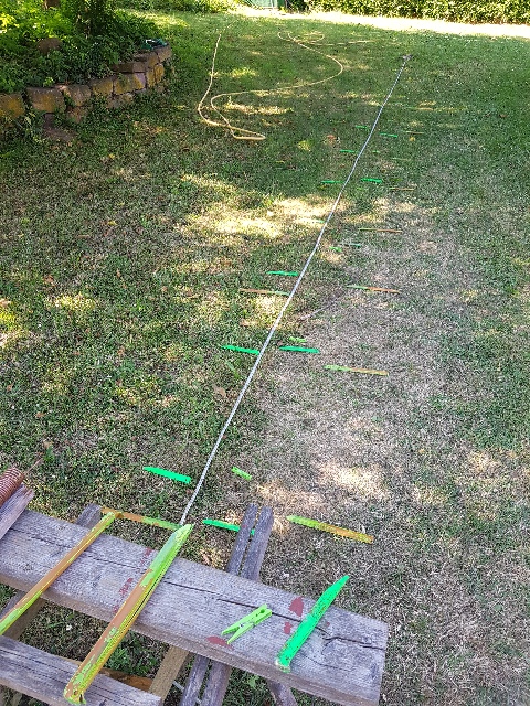 20250619_165226_g.jpg