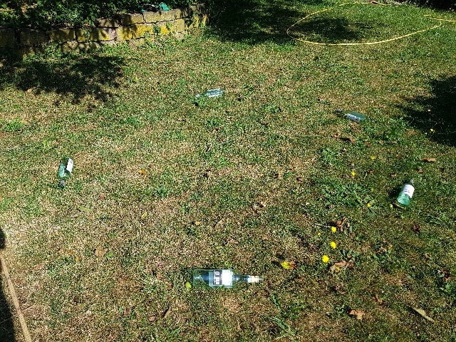 20250629_090014_g.jpg