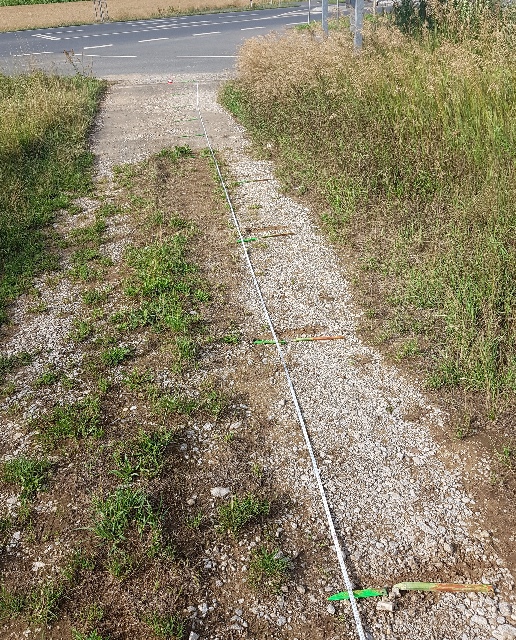 20250725_090433_g.jpg