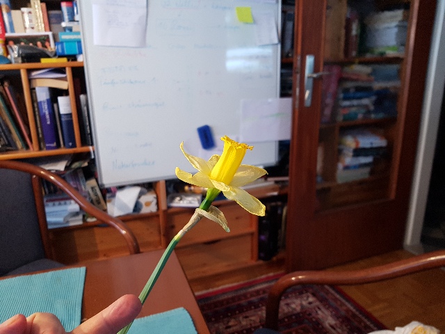 20260129_152211_g.jpg