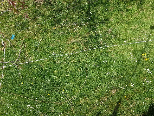 20260503_111814_g.jpg