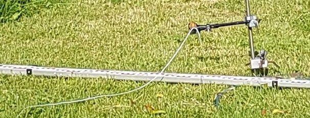 20260602_074633-b.jpg