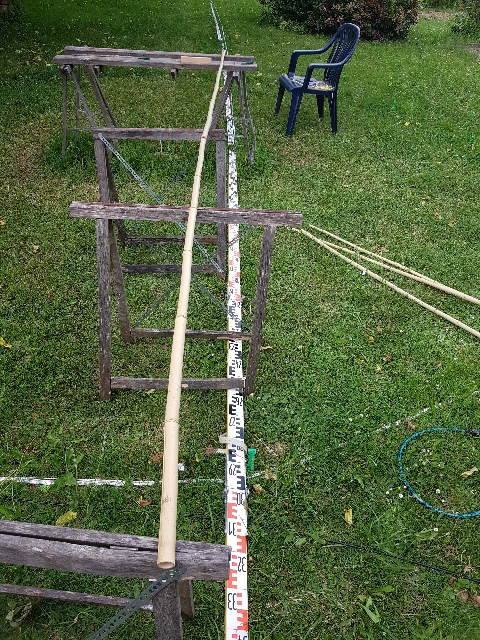 20260608_164601_g.jpg
