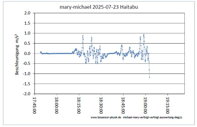 michael-mary-sh-verfolgt-diag11-001.jpg