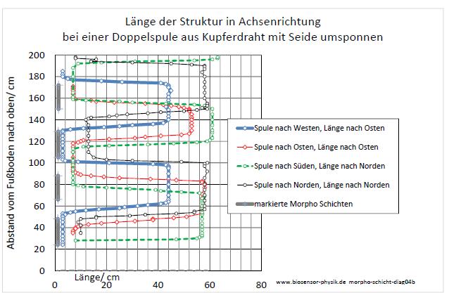 morpho-schicht-diag04b-001.jpg